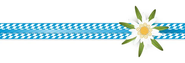 Blau-weiß kariertes Oktoberfest-Banner mit Edelweiß — Stockvektor