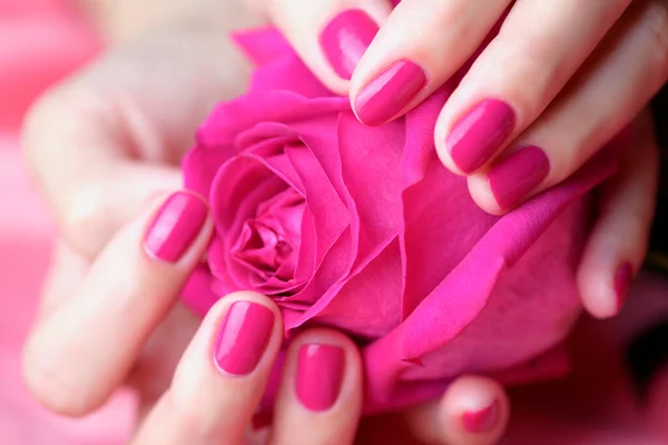 Mãos Femininas Com Manicure Rosa Segurando Uma Rosa Fundo Rosa — Fotografia de Stock