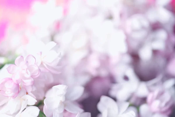 Hermosas Flores Pastel Cierran Fondo Natural —  Fotos de Stock