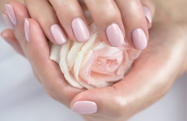 Beyaz bir gül tutan narin manikürlü kadın elleri. Pastel Manikürü