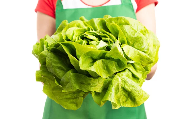 Close Female Grocery Supermarket Worker Holding Fresh Green Lettuce Healthy — Stock Photo, Image