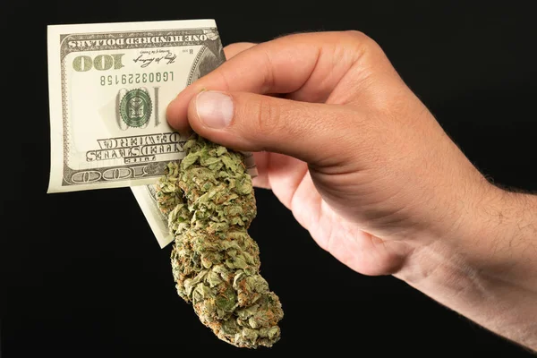 Man presenting weed bud and dollar bill
