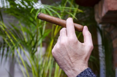 El puro bulanık bitkiler ile arka planda yanan tutar.