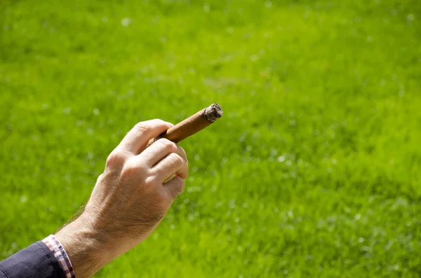 A man hand holds a cuban cigar front of  a blurred green lawn in — Stock Photo, Image