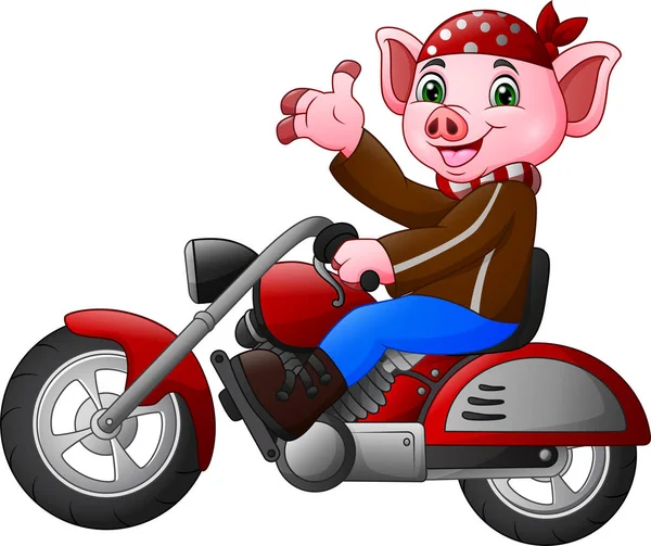 Dibujos Animados Divertido Cerdo Montar Una Motocicleta — Vector de stock