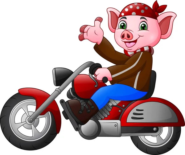 Karikatur Lustiges Schwein Auf Einem Motorrad — Stockvektor