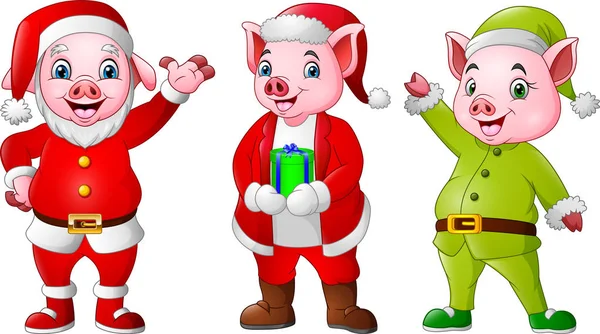 Kreslený Prasata Nosit Vánoční Kostýmy — Stockový vektor