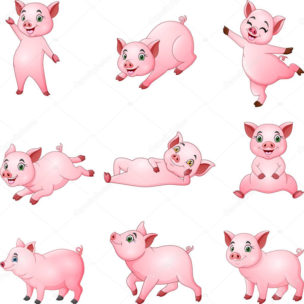 Cartoon little pigs collection with different posing