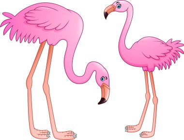 İki pembe flamingo beyaz arka plan üzerinde çizgi film