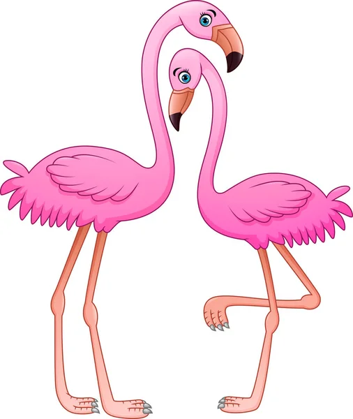 Cartoon Two Pink Flamingo White Background — Stock Vector