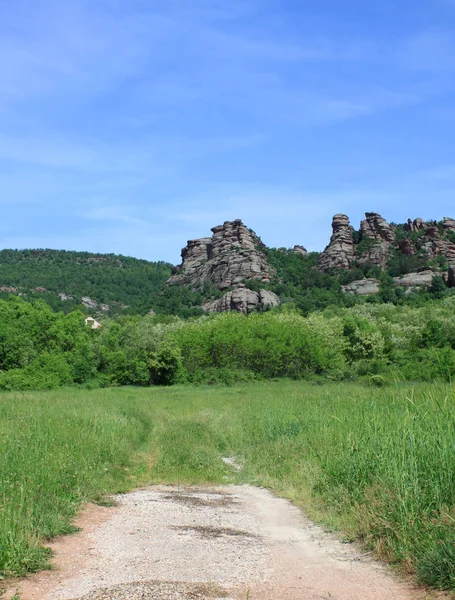 Скелі Belogradchik Рок Скульптур Розташований Поблизу Міста Belogradchik Болгарії Вони — стокове фото