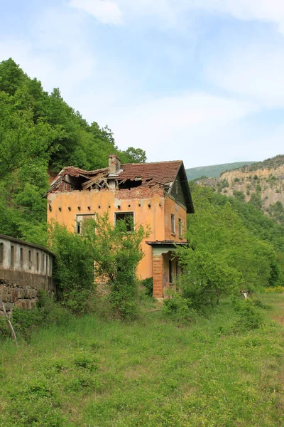 Paysage Estival Avec Une Vieille Maison Abandonnée Entourée Arbres Verts — Photo