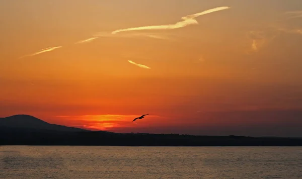 Karadeniz Sahil Üzerinde Renkli Bir Gün Batımı — Stok fotoğraf
