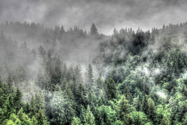 Fog over the Carpathian Mountains in Romania