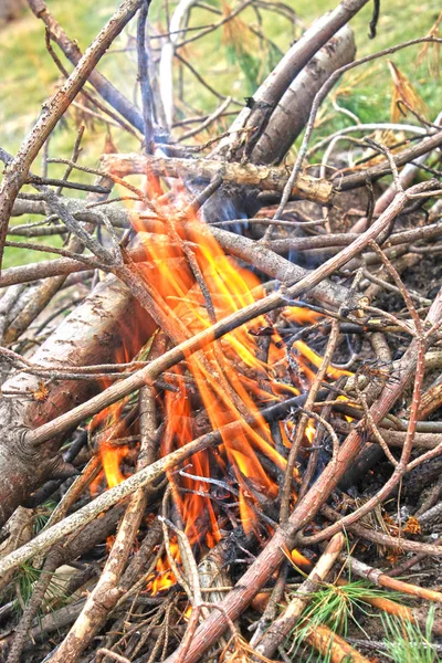 Closeup Picture Great Picnic Fire Wood — Stock Photo, Image