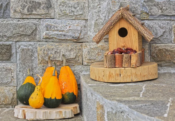 Group Colorful Pumpkins Stone Wall Next Wooden Bird House — Stock Photo, Image