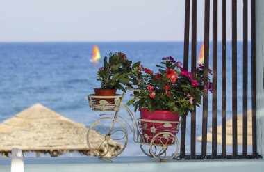 Görüntünün ön planda bazı çiçekler ile mavi deniz romantik bir görünüm