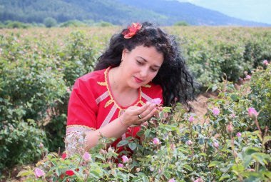 Gül tarlasında poz veren Bulgar folklor kostümlü güzel bir genç kadın.