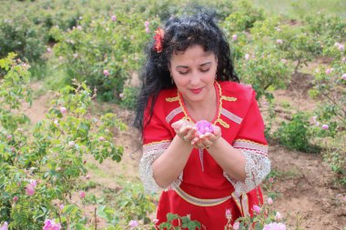 Gül tarlasında poz veren Bulgar folklor kostümlü güzel bir genç kadın.
