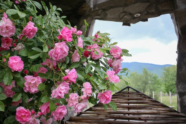 Picturesque Landscape Rose Valley Bulgarian Countryside Famous Its Fields Roses — Stock Photo, Image