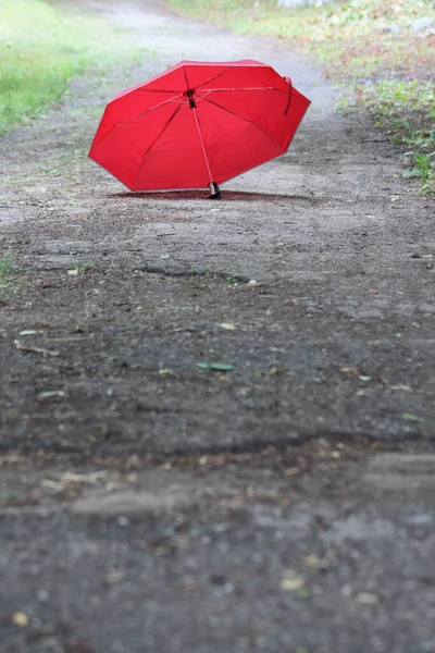 Une Photo Parapluie Rouge Dans Parc Vert Été Vide — Photo