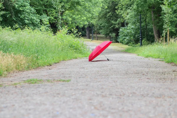 一张红色雨伞在空旷的夏季绿色公园里的照片 — 图库照片