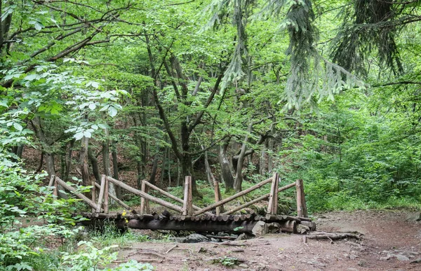 Immagine Vecchio Ponte Legno Una Foresta Estiva — Foto Stock