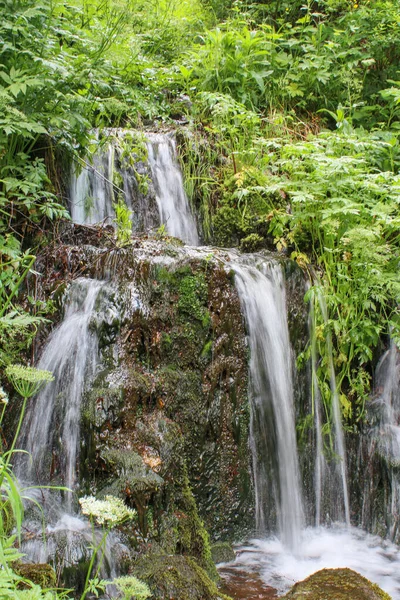 Picturesque summer waterfalls in a green forest