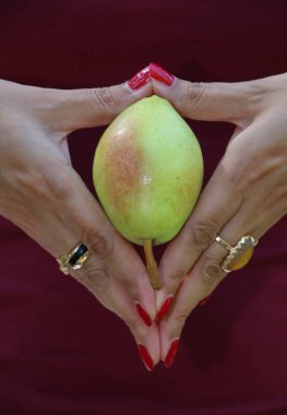 Elleri olgun sarı armutları tutan sonbahar konsepti