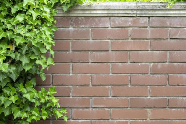 Soyut resim doku taş duvardaki büyük twiner ile tasarımcılar için. Promosyon veya reklam afiş için iyi yer.