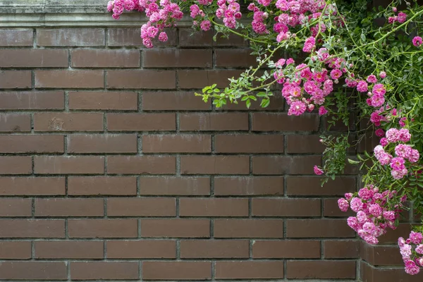 Soyut resim doku taş duvardaki büyük twiner ile tasarımcılar için. Promosyon veya reklam afiş için iyi yer.