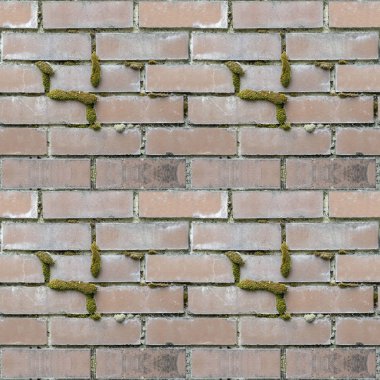 Soyut Dikişsiz desen duvar blok taş tuğla ve yeşil yosun ile tasarımcılar için