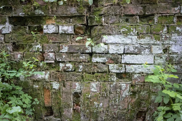 Abstract Beeld Textuur Voor Ontwerpers Met Fragment Van Oude Muur — Stockfoto