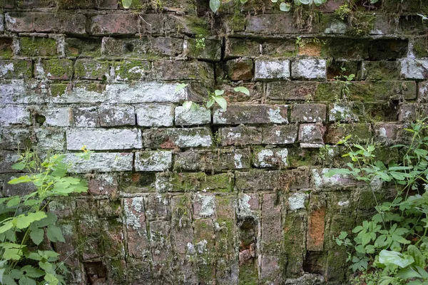 Soyut resim doku eski kırmızı kırık duvardan parçası ile tasarımcılar için tuğla ve yapraklar ve çim