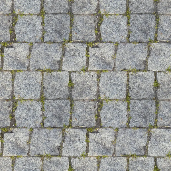 Beton causeway yol ve yeşil ot ile tasarımcılar için soyut seamless modeli