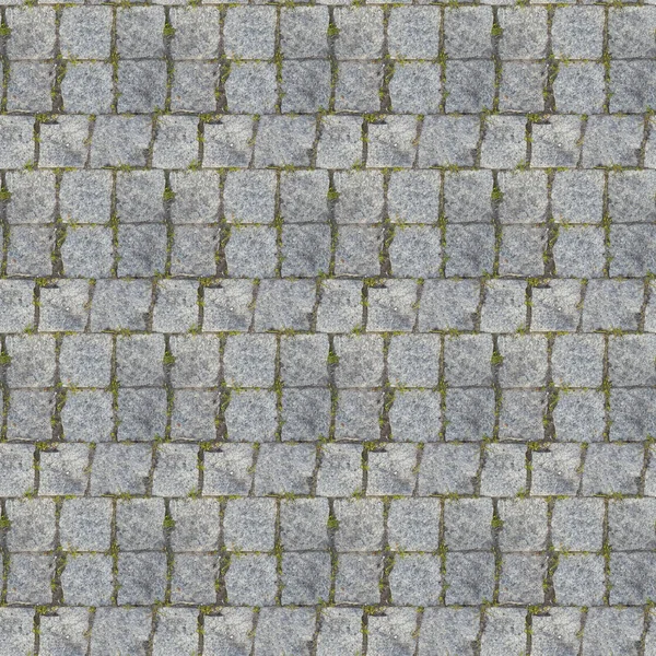 コンクリートの土手道と緑ハーブとデザイナーのための抽象的なシームレス パターン — ストック写真