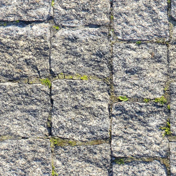 Beton causeway yol ve yeşil ot ile tasarımcılar için soyut seamless modeli