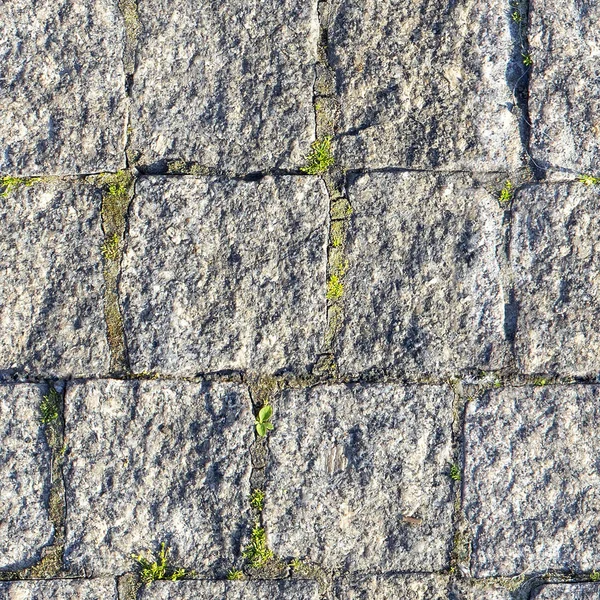 Beton causeway yol ve yeşil ot ile tasarımcılar için soyut seamless modeli