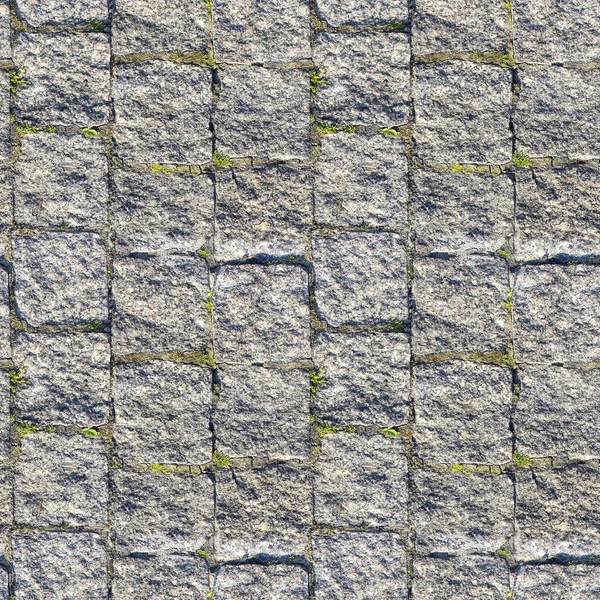 Abstraktní Vzor Bezešvé Pro Konstruktéry Betonová Hráz Silniční Zelené Byliny — Stock fotografie