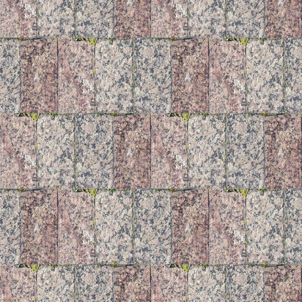 コンクリートの土手道と緑ハーブとデザイナーのための抽象的なシームレス パターン — ストック写真