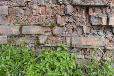 Soyut resim doku eski kırmızı kırık duvardan parçası ile tasarımcılar için tuğla ve yapraklar ve çim