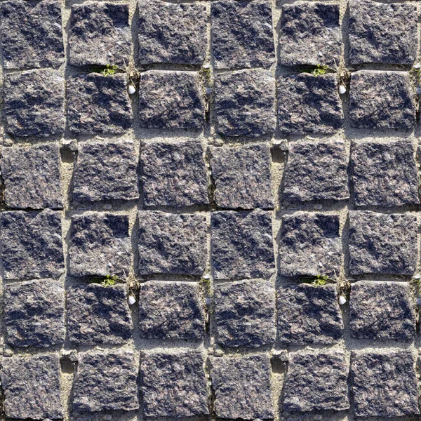 Abstract Seamless Pattern Designers Concrete Causeway Road Green Herb — Stock Photo, Image