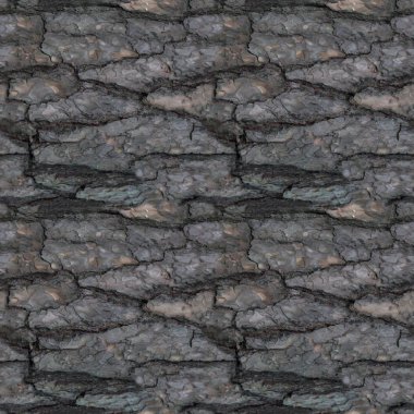 Tasarım veya arka plan için kırık ağaç barque parçası ile Seamless modeli