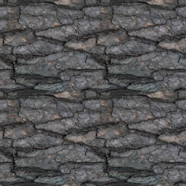 Tasarım veya arka plan için kırık ağaç barque parçası ile Seamless modeli