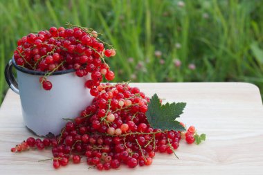 Çilek hasat yeşil ile ahşap tabloda çay Kupası'nda yapraklar mellow kırmızı kuş üzümü ve kesimler yaz fotoğrafı