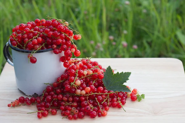 Çilek hasat yeşil ile ahşap tabloda çay Kupası'nda yapraklar mellow kırmızı kuş üzümü ve kesimler yaz fotoğrafı