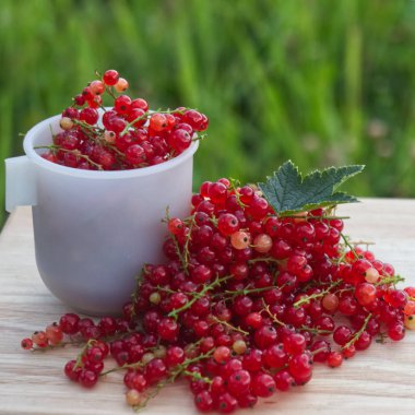 Çilek hasat yeşil ile ahşap tabloda çay Kupası'nda yapraklar kırmızı kuş üzümü ve kesimler yaz fotoğrafı