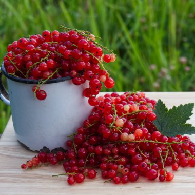 Çilek hasat yeşil ile ahşap tabloda çay Kupası'nda yapraklar kırmızı kuş üzümü ve kesimler yaz fotoğrafı