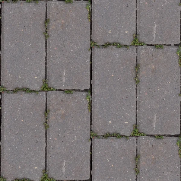 Beton causeway yol döşeme ile yeşil çim ile tasarımcılar için soyut seamless modeli