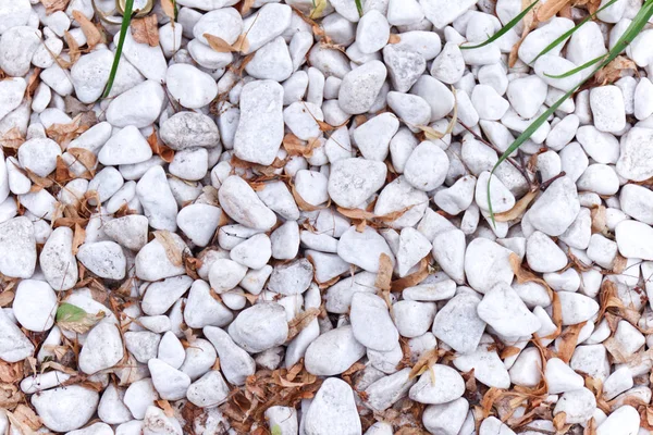 Απλή φωτογραφία φόντο μικρές λευκές πέτρες με παλιά φύλλα του φθινοπώρου. — Φωτογραφία Αρχείου